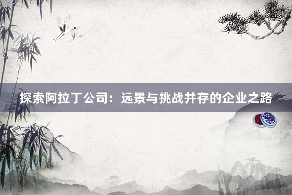 探索阿拉丁公司：远景与挑战并存的企业之路